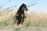 BEAUCERON 142